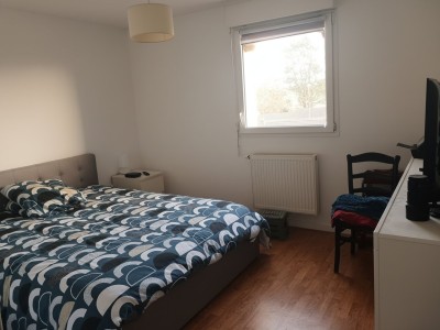 Appartement 2 chambres 66,8 m vendu lou  Investissement locatif  Templemars